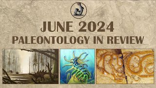 June 2024 Paleontology in Review [upl. by Neehahs]