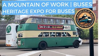 Buses At Heritage Transport Expo 2024  NSW  Buses [upl. by Allisirp]