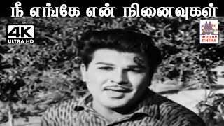 Nee Enge En Ninaivugal SMசுப்பையா நாயுடு இசையில் TMசௌந்தர்ராஜன் பாடிய பாடல் நீ எங்கே என் [upl. by Hillyer]