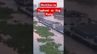 Tugboat Sa ilog Pasig song shortvideo short viralshorts Tugboat Pasigrivershorts [upl. by Courtney]