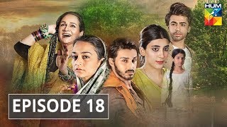 Udaari Episode 18 HUM TV Drama [upl. by Eustatius]