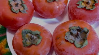 Persimmon fruit benefits kashmiri fruit shorts shortvideo trend islam kashmir fruits beauty [upl. by Lattie]