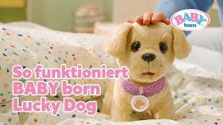 Lucky Dog von BABY born Laufen trinken Pipi machen amp mehr 😍🐶  BABY born [upl. by Miriam]