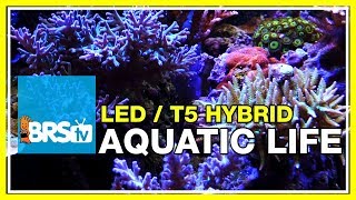 A deeper look into the Aquatic Life T5LED Hybrid fixture  BRStv Investigates [upl. by Clover423]