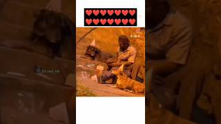 True love ❤️ shorts short dog trending shortsfeed doglovers dogs shortsviral shortsvideo [upl. by Armil]