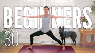 30Minute Yoga For Beginners  Start Yoga Here [upl. by Gyimah]