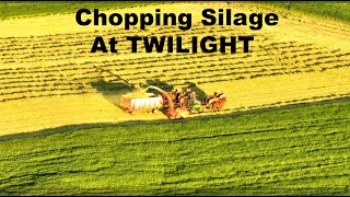 Chopping Silage at SUNSET in AMISH LAND with BEAUTIFUL BELGIAN HORSES Lancaster County Pennsylvania [upl. by Anitsim]