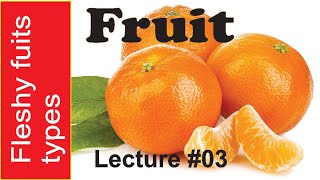 Fruit Lecture 4 Fleshy Fruits for BS MSc [upl. by Mauve]