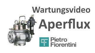 Fiorentini Deutschland Wartung Aperflux [upl. by Joellyn]