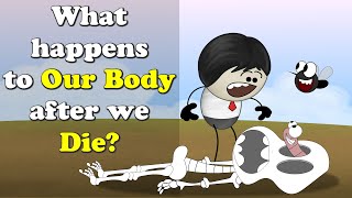 What happens to Our Body after we Die  more videos  aumsum kids science education children [upl. by Jameson151]