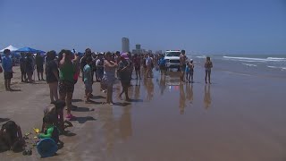 Multiple shark attacks reported on South Padre Island during July Fourth celebrations [upl. by Anaz]