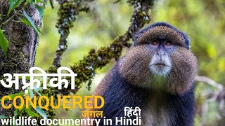 The cunquered forest  हिंदी डॉक्यूमेंट्री  Africa wildlife documentry in Hindi [upl. by Urata]