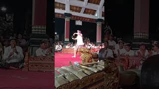 Balinese Dance amp Gamelan By The Professor  Gamelan Bali tarianbali shorts balinesegamelan [upl. by Alrats]