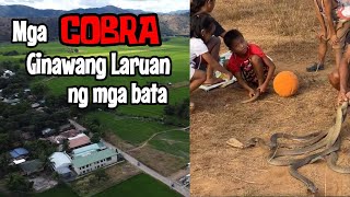 MGA COBRA GINAWANG LARUAN NG MGA BATA [upl. by Marinna]