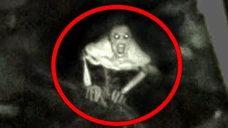 5 Mysterious Creatures Caught On Camera [upl. by Auqenes]