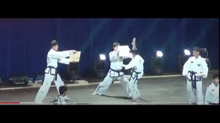 The Korean martial art of taekwondo has developed differently in South and North Korea Modern [upl. by Nahgeam]