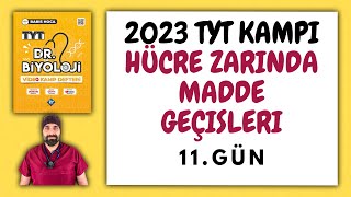 11Hücre Zarında Madde Geçişleri TYT Biyoloji Kampı Konu Anlatımı 9Sınıf 2023 Tayfa [upl. by Nomor]