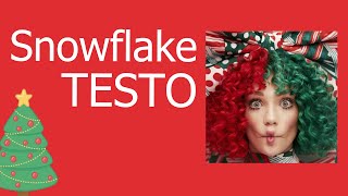 SiaSnowflake testo in inglese [upl. by Innek750]