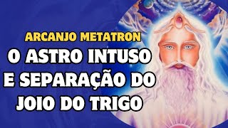 O ASTRO INTRUSO E A SEPARAÇÃO DO JOIO DO TRIGO  METATRON [upl. by Airual]