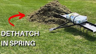 Dethatch  Overseed Kentucky Blue Grass  Step By Step Process [upl. by Firman]