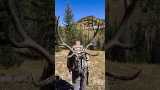 Strolling in the woods… elk packout wapiti 6x6 mountainview trophyquestoutdoors [upl. by Ejrog119]