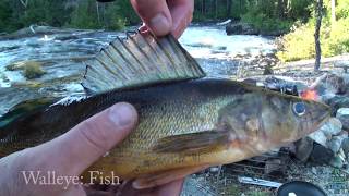 Northern Ontario Canoe Trip Kamiskotia River [upl. by Dibb265]