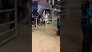 Feria del caballo español 2019 🤠🐴🔥 [upl. by Moina]