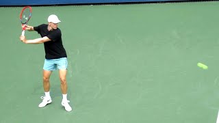 Denis Shapovalov HUGE Forehand amp Backhand Slow Motion [upl. by Adnawuj]