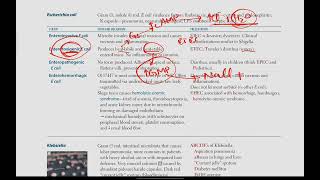 Escherichia coli  Microbiology  18  First Aid USMLE in UrduHindi [upl. by Keefe141]