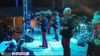 GITANILLA HERMOSISIMO LUCERO Y OJOS NEGROS EN VIVO ESTRUENDO DE OAXACA [upl. by Burk181]