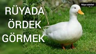 RÜYADA ÖRDEK 🦆 GÖRMEK RÜYA TABİRLERİ ördek rüyatabirleri [upl. by Adnalahs]