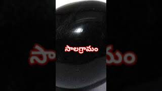 salagramam సాలగ్రామం [upl. by Sinegold]