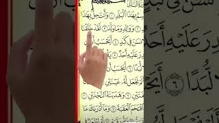 Surah AL  Balad Best Quran 🤲🥀 Recitation surahbalad allah quranrecitation shortvideo shorts [upl. by Ahseihs]