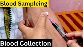 Blood Collection  Blood Sampling  How to Blood Collection bloodsample bloodtest blood [upl. by Laenahtan]