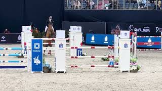 Jowel Gelding by Actionbreaker 140 Class CSI 4 Krakow CAVALIADA [upl. by Eintruok100]