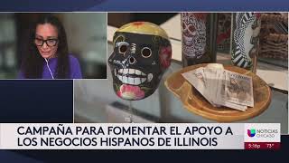 ‘Illinois Made’ el programa que busca resaltar y promover negocios latinos en el estado [upl. by Judie]