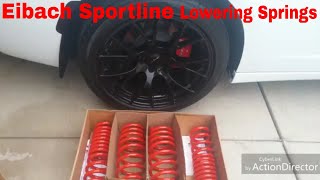 Getting The Eibach Lowering Springs Put On The Charger RT Part 1 [upl. by Leiuqese]