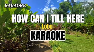 HOW CAN I TILL HERE  karaoke cover by Lobo [upl. by Eenimod]