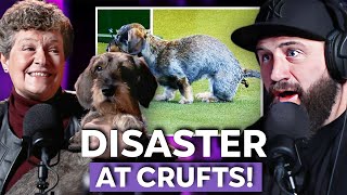 Joe Marler SHOCKED By What Her Dog Did At Crufts  Joe Marlers Things People Do [upl. by Hannis]