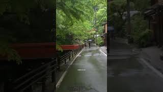 日本 日本旅游 专业地导游 旅行攻略 日本司导 图文 你不要我的那天晚上 我哭了好久好久 情感 [upl. by Hsakaa]