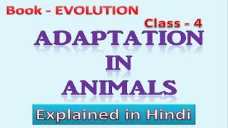 ADAPTATION IN ANIMALS  Class 4  Explained in Hindi [upl. by Audre]