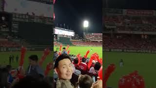 Hiroshima Carp Japan 🇯🇵japan travelvideo vlog hiroshimacarp [upl. by Dorsman]