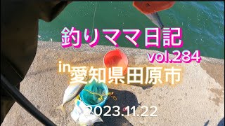 釣りママ日記vol284愛知県田原市 [upl. by Acim512]