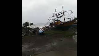 Update Typhoon Pepito dito sa Dingalan Aurora November 172024 [upl. by Birgit171]