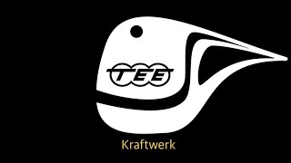 TransEuropa Express kraftwerk [upl. by Nnyltiac307]