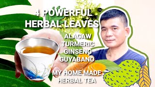 MY HOME MADE HERBAL TEA  GINSENGTURMERICALAGAWGUYABANO  HALAMANGGAMOTGAWINGCHAA  Matbakhtv [upl. by Arahc78]