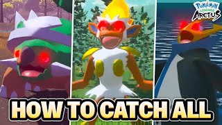 HOW TO CATCH ALL SINNOH STARTERS IN POKEMON LEGENDS ARCEUS ChimcharTurtwigPiplup [upl. by Lurline415]