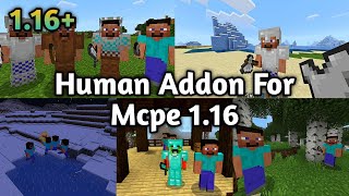 Human Addon  Minecraft PE Showcase [upl. by Reese]