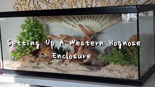 Setting Up My Western Hognose Snakes Enclosure  Wilburs Updated Enclosure [upl. by Betthel]