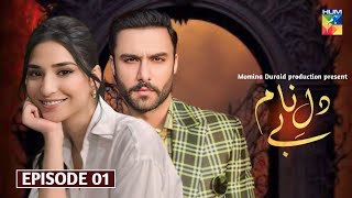 Byname Dil  Episode 1  Ramsha Khan  Ahmad Ali Akbar  Pakistani drama  Update  Hum tv  Zynu5 [upl. by Wynnie]